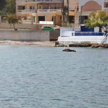 Sea Front Homeleader