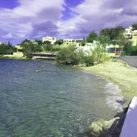 Sea Front Homeleader